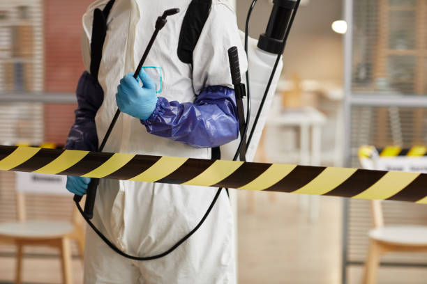 Professional Hoarding Cleanup technician working in Hampton, IA